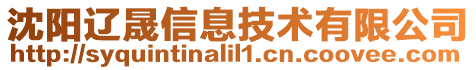 沈陽遼晟信息技術有限公司