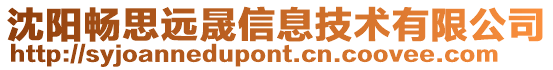 沈陽暢思遠晟信息技術有限公司