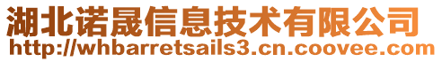 湖北諾晟信息技術(shù)有限公司