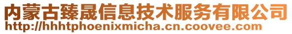 內(nèi)蒙古臻晟信息技術(shù)服務(wù)有限公司