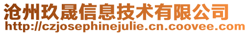 滄州玖晟信息技術(shù)有限公司