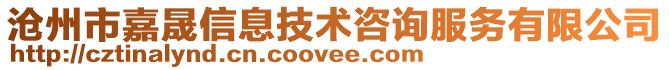 滄州市嘉晟信息技術咨詢服務有限公司