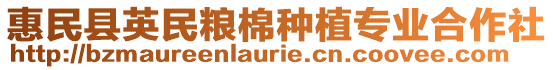 惠民縣英民糧棉種植專業合作社