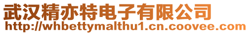 武漢精亦特電子有限公司