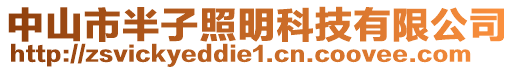 中山市半子照明科技有限公司