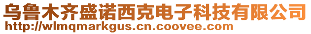 烏魯木齊盛諾西克電子科技有限公司