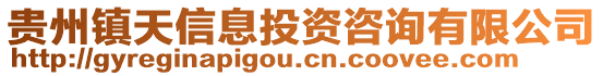 貴州鎮(zhèn)天信息投資咨詢有限公司