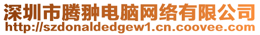 深圳市騰翀電腦網絡有限公司