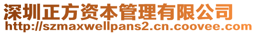 深圳正方資本管理有限公司