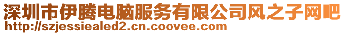 深圳市伊騰電腦服務有限公司風之子網吧