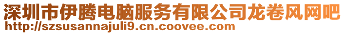深圳市伊騰電腦服務有限公司龍卷風網吧