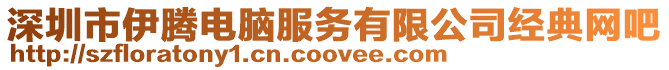 深圳市伊騰電腦服務(wù)有限公司經(jīng)典網(wǎng)吧