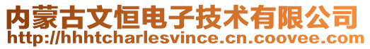 內蒙古文恒電子技術有限公司