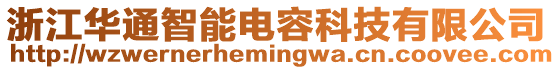 浙江華通智能電容科技有限公司