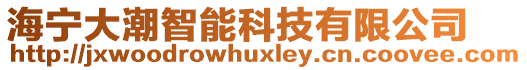 海寧大潮智能科技有限公司