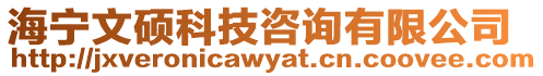 海寧文碩科技咨詢(xún)有限公司