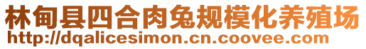 林甸縣四合肉兔規模化養殖場