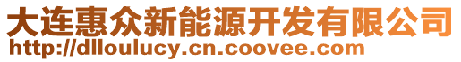 大連惠眾新能源開發(fā)有限公司