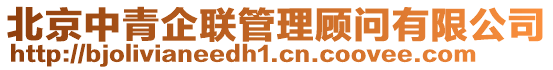 北京中青企聯(lián)管理顧問(wèn)有限公司