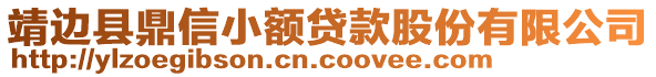 靖邊縣鼎信小額貸款股份有限公司