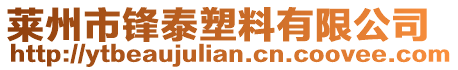 萊州市鋒泰塑料有限公司