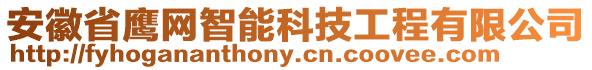 安徽省鷹網(wǎng)智能科技工程有限公司