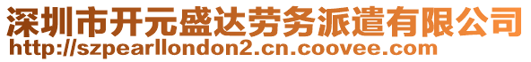 深圳市開元盛達勞務派遣有限公司