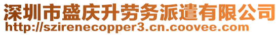 深圳市盛慶升勞務(wù)派遣有限公司