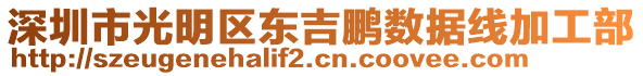 深圳市光明區(qū)東吉鵬數(shù)據(jù)線加工部