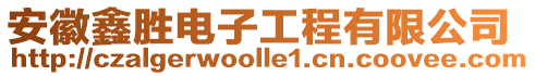 安徽鑫勝電子工程有限公司