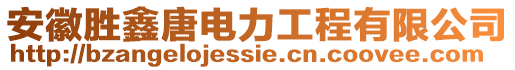 安徽勝鑫唐電力工程有限公司