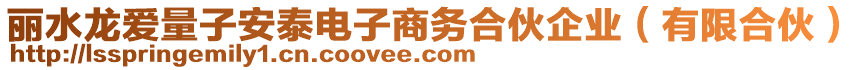 麗水龍愛量子安泰電子商務合伙企業(yè)（有限合伙）