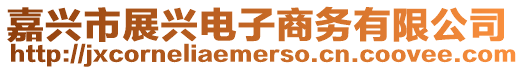 嘉興市展興電子商務(wù)有限公司