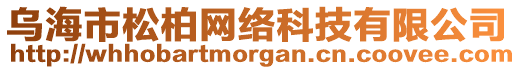 烏海市松柏網(wǎng)絡(luò)科技有限公司