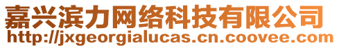 嘉興濱力網(wǎng)絡(luò)科技有限公司