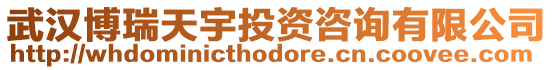 武漢博瑞天宇投資咨詢有限公司