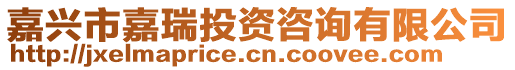 嘉興市嘉瑞投資咨詢有限公司