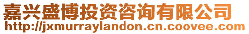 嘉興盛博投資咨詢有限公司