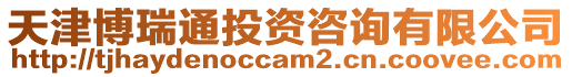 天津博瑞通投資咨詢有限公司