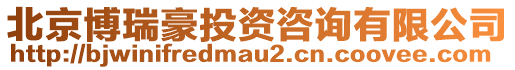 北京博瑞豪投資咨詢有限公司