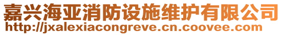 嘉興海亞消防設(shè)施維護(hù)有限公司
