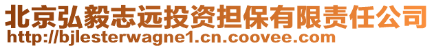 北京弘毅志遠投資擔保有限責任公司