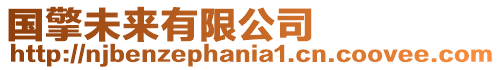 國擎未來有限公司