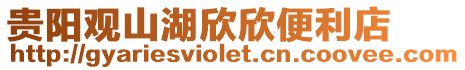 貴陽(yáng)觀山湖欣欣便利店