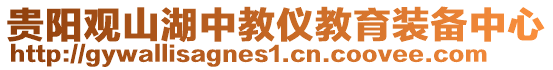 貴陽(yáng)觀山湖中教儀教育裝備中心