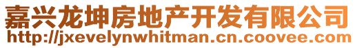 嘉興龍坤房地產開發有限公司