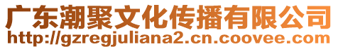 廣東潮聚文化傳播有限公司