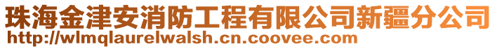 珠海金津安消防工程有限公司新疆分公司