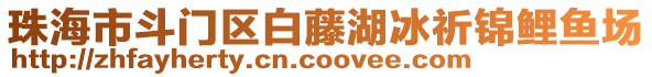 珠海市斗門區(qū)白藤湖冰祈錦鯉魚場