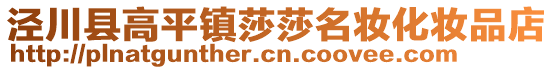 涇川縣高平鎮(zhèn)莎莎名妝化妝品店